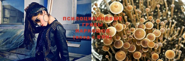 прущий лед Карпинск