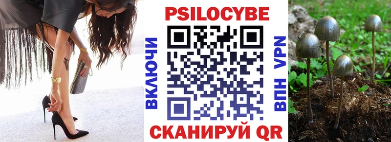 где можно купить   Камышин  МЕГА ТОР  Галлюциногенные грибы ЛСД 